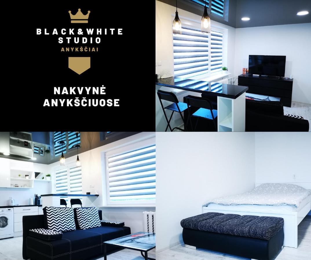Black & White Studio Anyksciai Ngoại thất bức ảnh